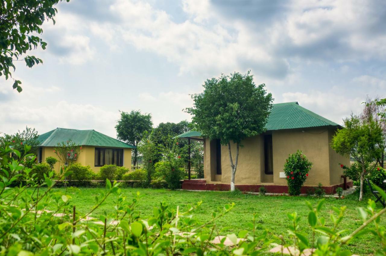 Tusk And Roar Corbett Resort Dhela Extérieur photo