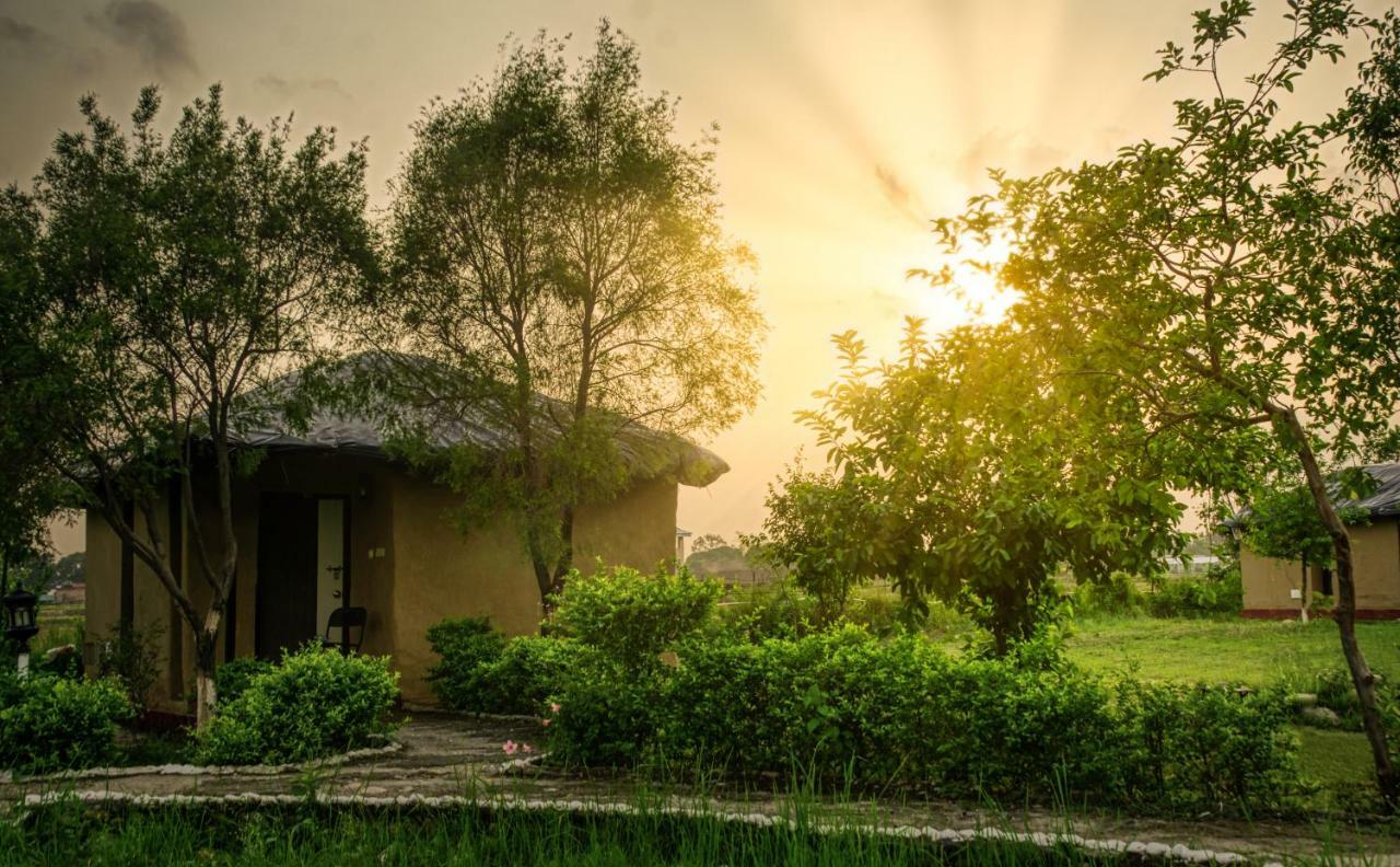 Tusk And Roar Corbett Resort Dhela Extérieur photo